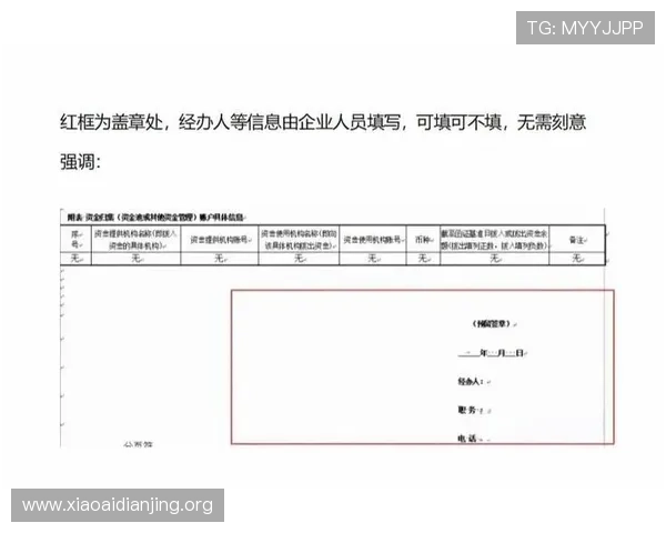 关于澳门国际银行股份有限公司函证的详细说明与流程解析
